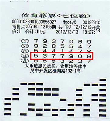 揭秘齐鲁彩票双色球号码查询，探索幸运之门的关键所在