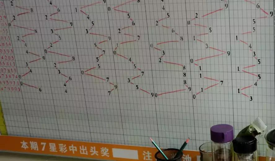 超级大乐透走势图最新图，探索彩票世界的神秘面纱