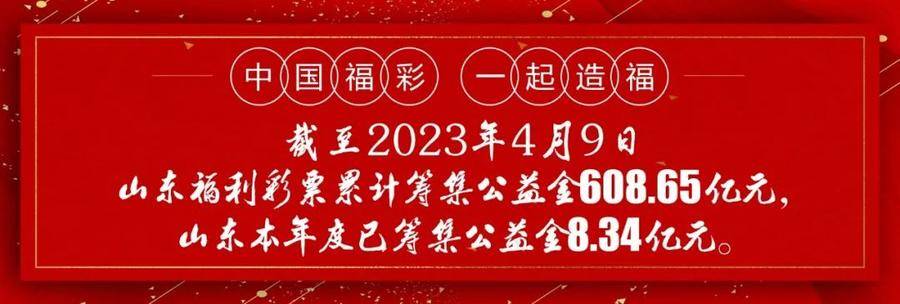 中国福利彩票排列三，梦想与公益的完美结合