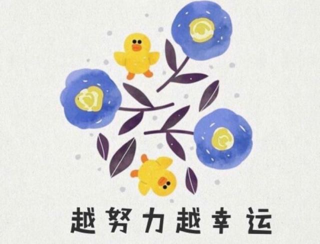超级大乐透复式中奖表，揭秘彩票背后的秘密与喜悦
