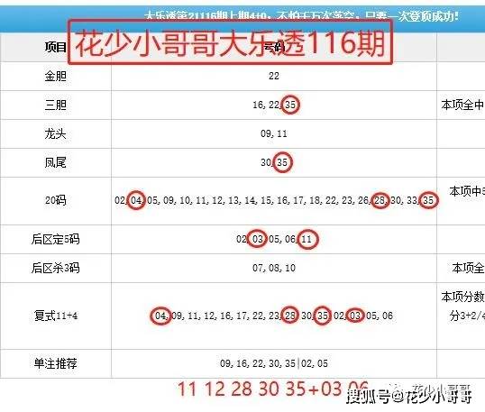 揭秘大乐透开奖号码，22130期开奖结果深度解析