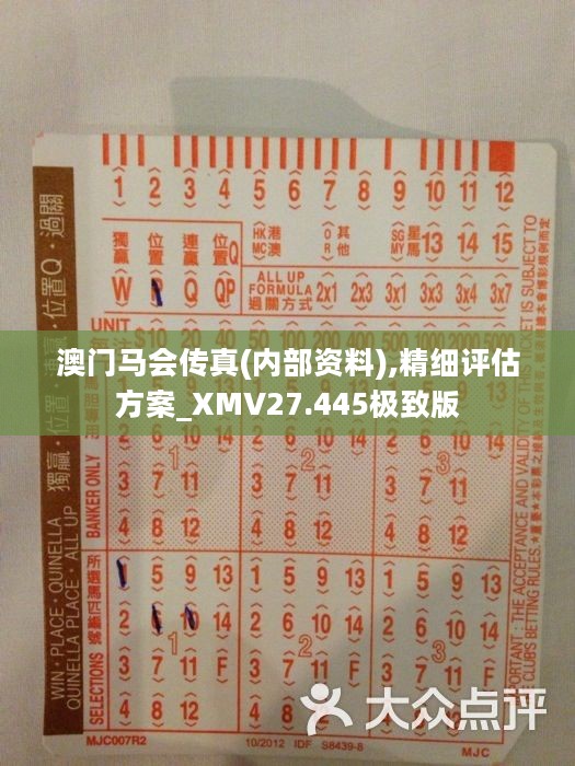 正版马会传真资料+内部