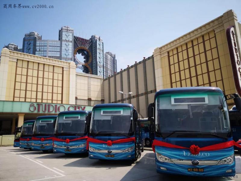 澳门六合走势图手机版下载，探索最新动态与实用指南澳门6合走势图大全图片下载手机版最新
