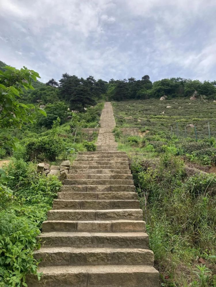 澳门赌牌背后的故事，探索最吸引人的六大公司及其最佳景点澳门6个赌牌分别是