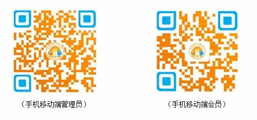 澳门彩票网站下载手机版免费官方正版，探索与体验